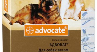 טיפות קרציות של אדבוקט