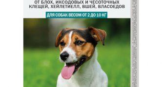 טיפות קרציות של ברים