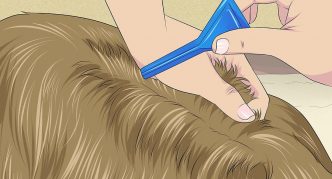 הוראות Drops Frontline 5