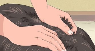 הוראות Drops Frontline 4