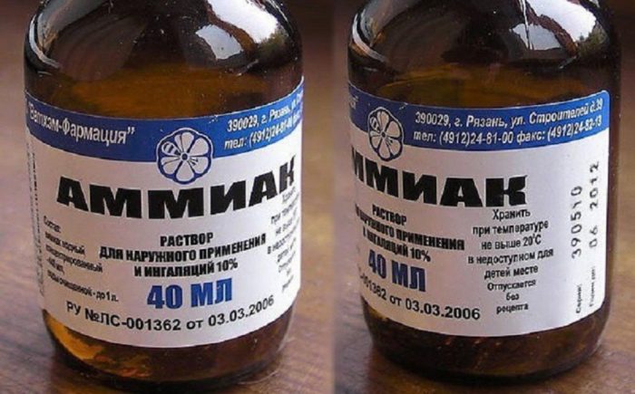 אַמוֹנִיָה