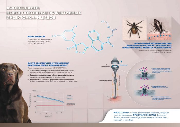 מנגנון הפעולה של אפוקסולינר