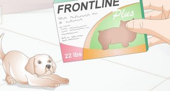 הוראות לטאבלטים בחזית 4