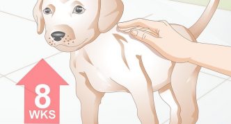 הוראות לטאבלטים בחזית 3