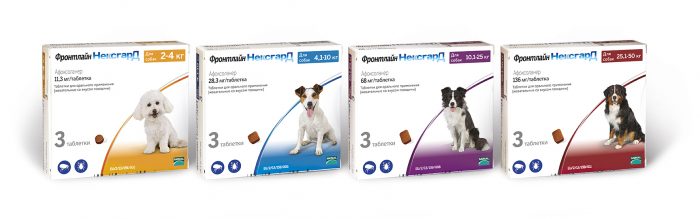 טבליות Frontline Nexgard 4 סוגים