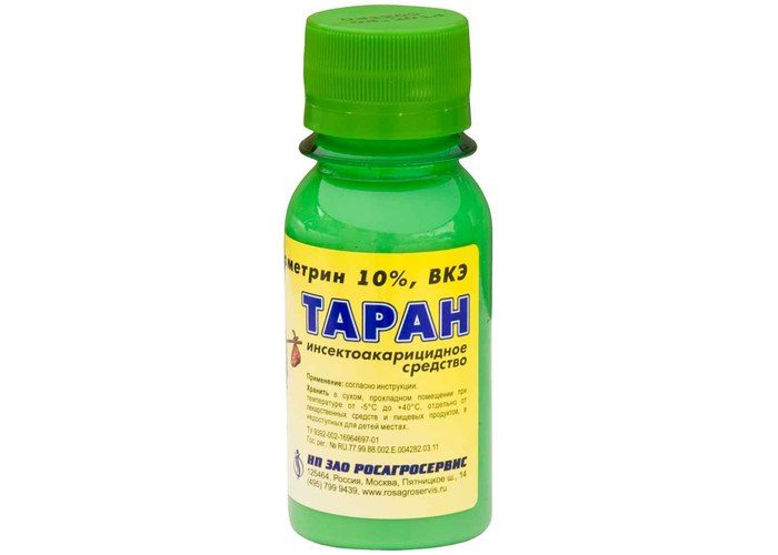 איל ניגוח בבקבוק