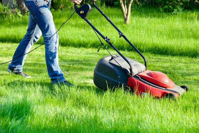 ניקוי האזור