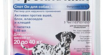 נקודת התחלה טובה החל מ-20 ק"ג