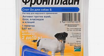 נקודת התחלה טובה החל מ-2 ק"ג