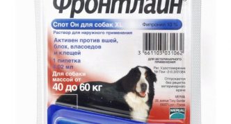 נקודת התחלה טובה החל מ-40 ק"ג