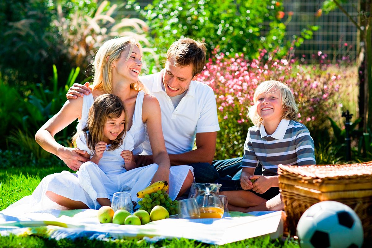 piquenique na floresta