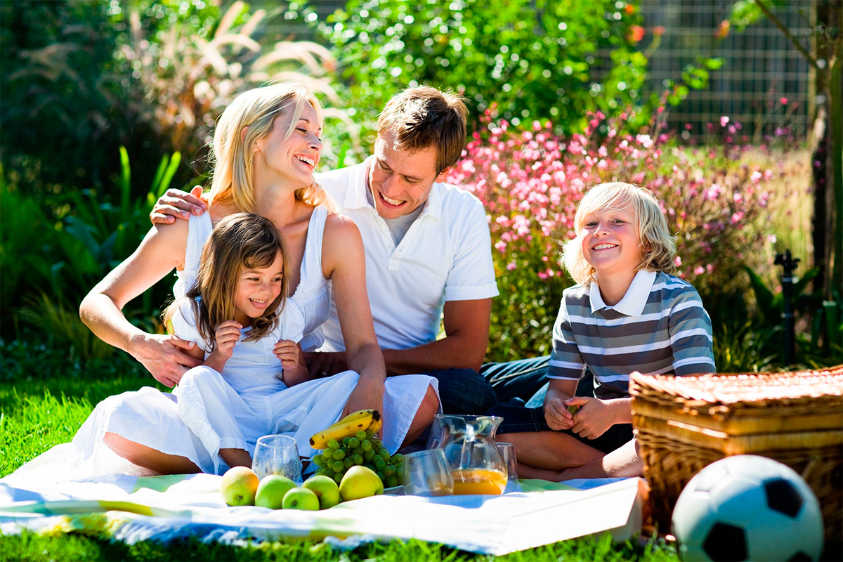 הגנה אמינה מפני קרציות עם מוצרי Gardex