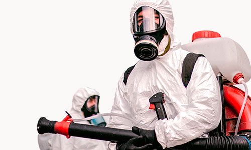 מדבירי מזיקים