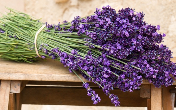 זר לבנדר מונח על השולחן