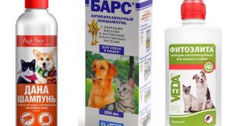 שמפו נגד פרעושים לכלבים וחתולים