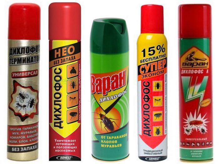 דיכלורבוס נגד פרעושים ומזיקים אחרים