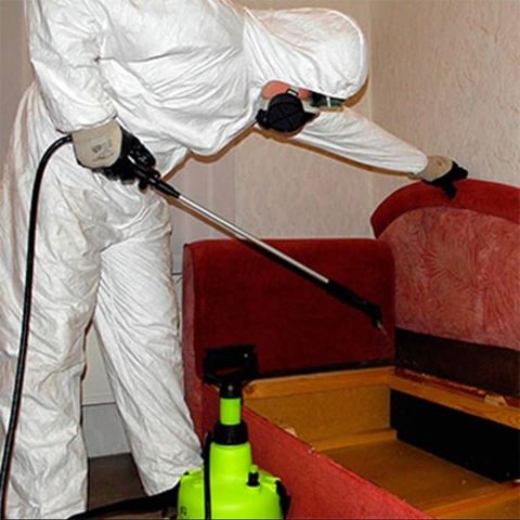 טפלו במקום נגד חרקים