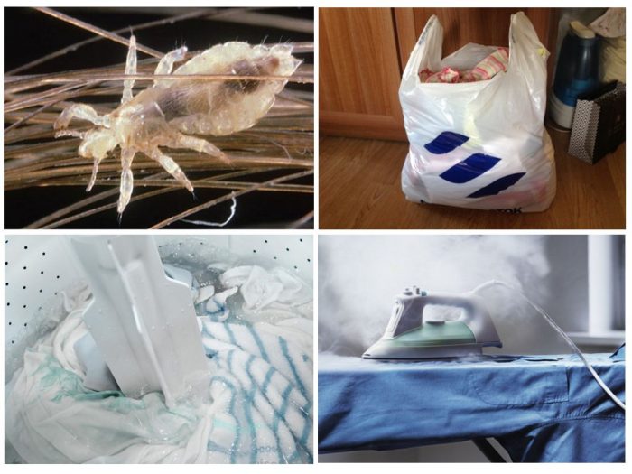 סט של צעדים נגד כינים