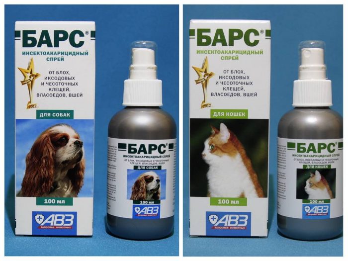 חטיפים נגד פרעושים