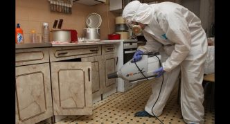 הדברת מזיקים במטבח