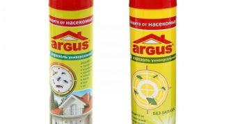 תרסיס ארגוס