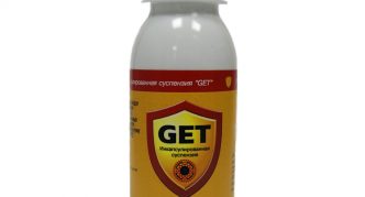 התרופה גט