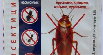 אבקת קו חזית