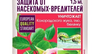 ברק קוטל חרקים