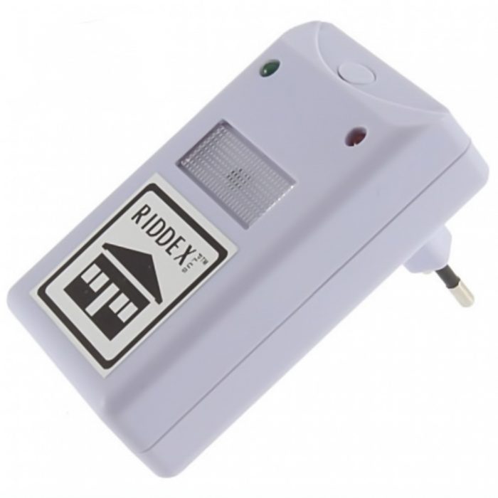 ריידקס פלוס