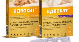 טיפות נגד קרציות של אדבוקט (באייר)