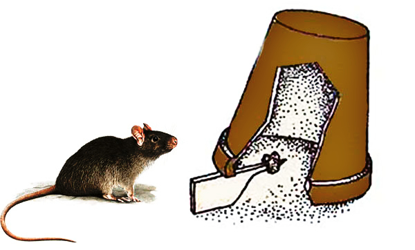 מלכודת סירים