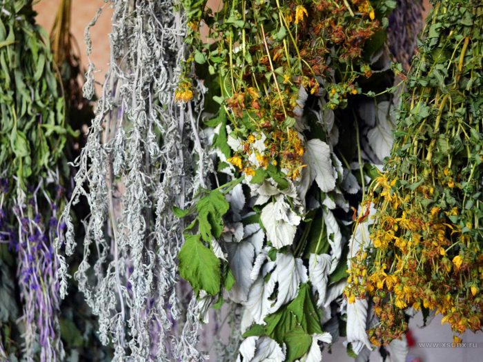 עשבי תיבול מיובשים