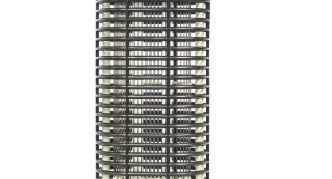 מלכודת זבובים