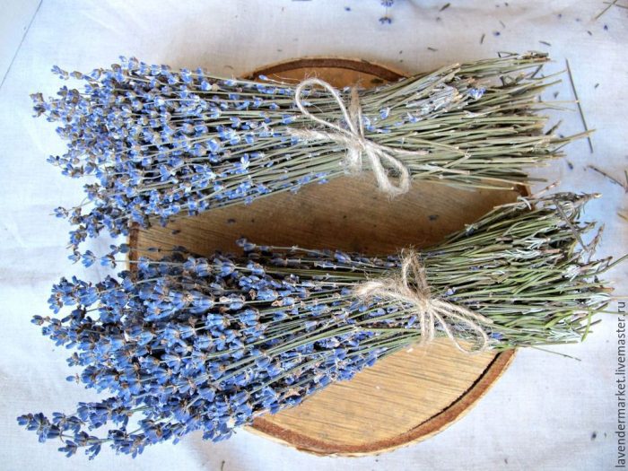 שני צרורות של לבנדר מיובש