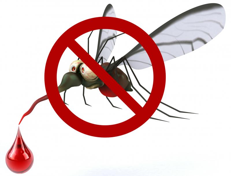 שלט "יתושים ואסור להיכנס"