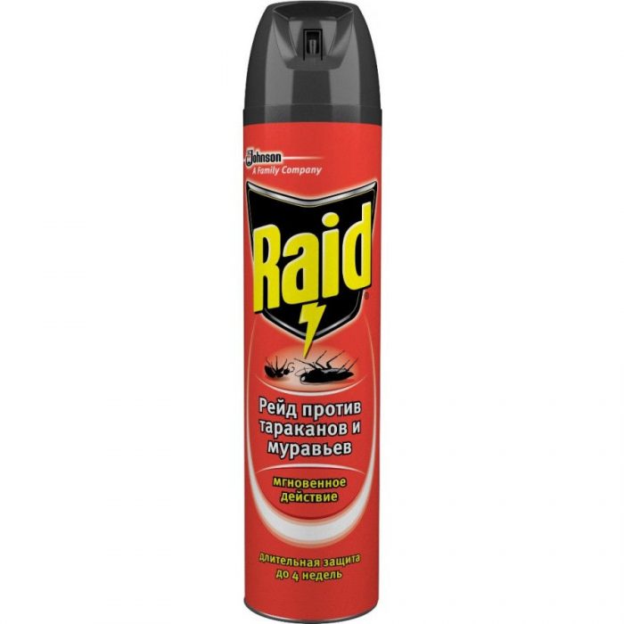 תרסיס פשיטה