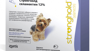 פתרון Stronghold