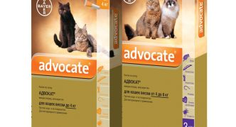 טיפות אדבוקט