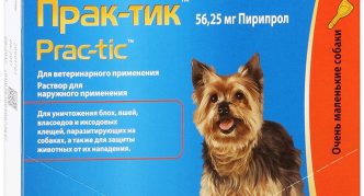 פתרון פרק-טיק