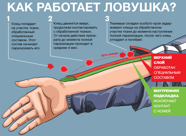 מלכודות על בגדים