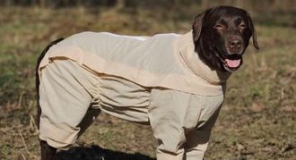 אוסו לכלבים