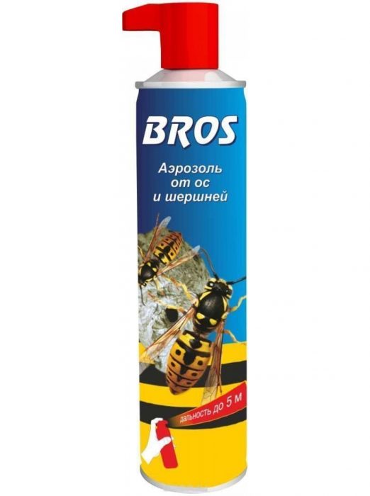 תרסיס צרעות וצרעות של אחים