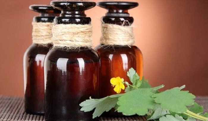 חליטת קלנדין