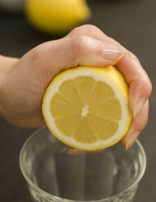 סחיטת מיץ לימון
