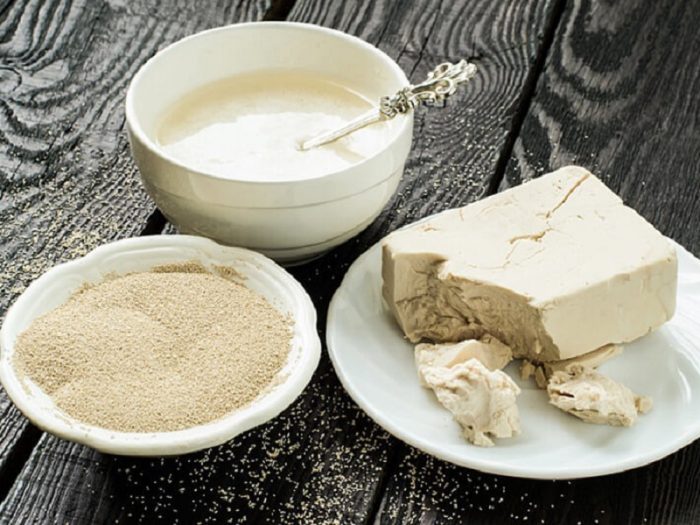 שמרים וסוכר