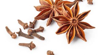 ציפורן ואניס