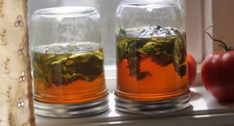 מרתח של צמרות עגבניות