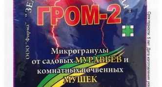 גרגירי גרום-2