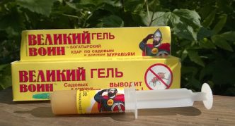 ג'ל הלוחם הגדול