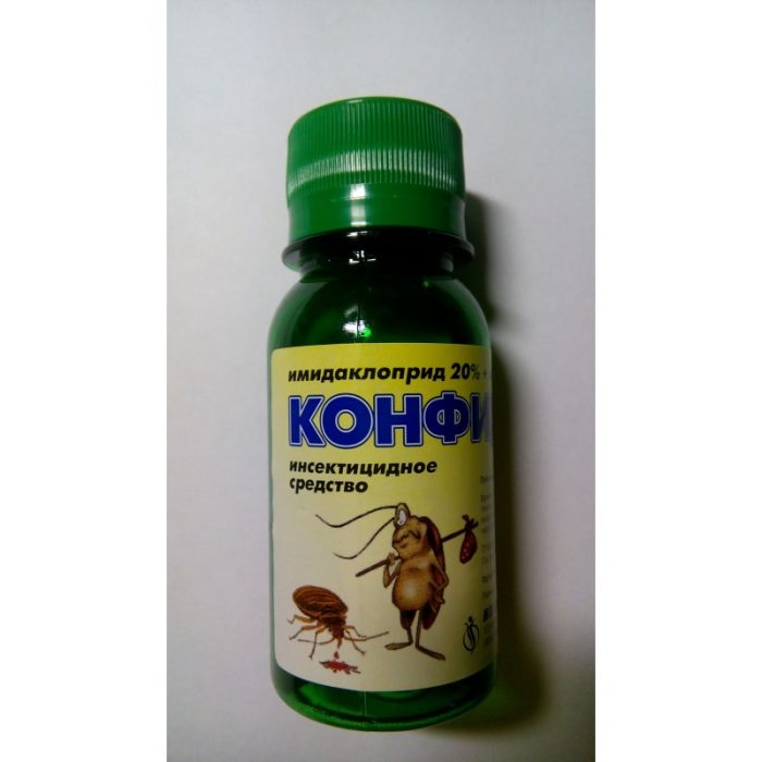 סוד, אמולסיה